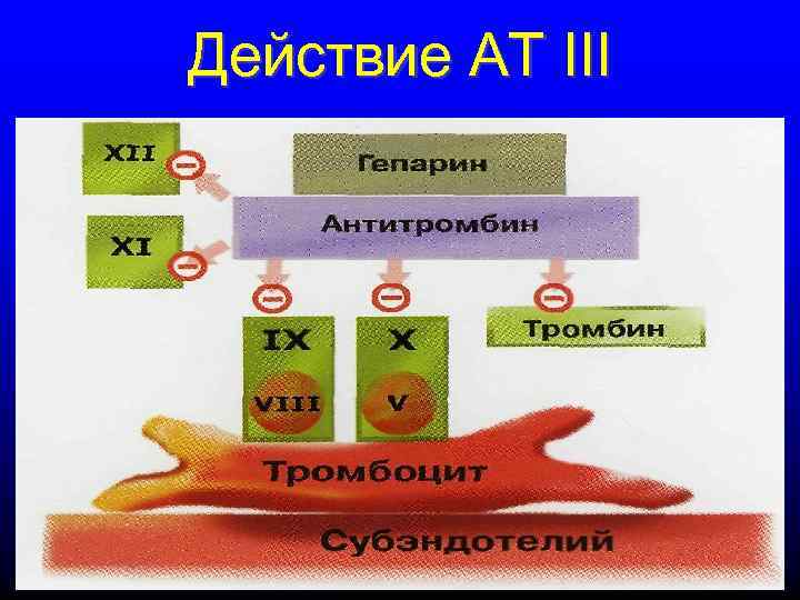 Действие АТ III 