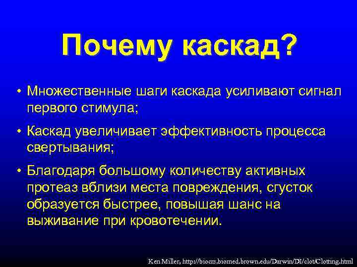  Почему каскад?  • Множественные шаги каскада усиливают сигнал  первого стимула; 