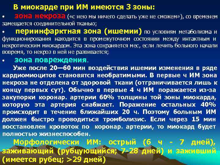   В миокарде при ИМ имеются 3 зоны:  •  зона некроза