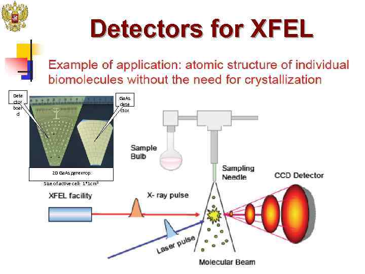      Detectors for XFEL Dete     