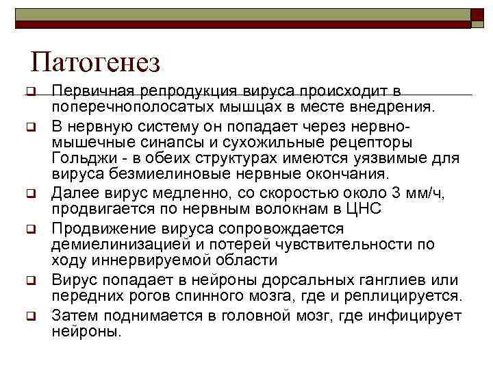 Патогенез q  Первичная репродукция вируса происходит в поперечнополосатых мышцах в месте внедрения. q