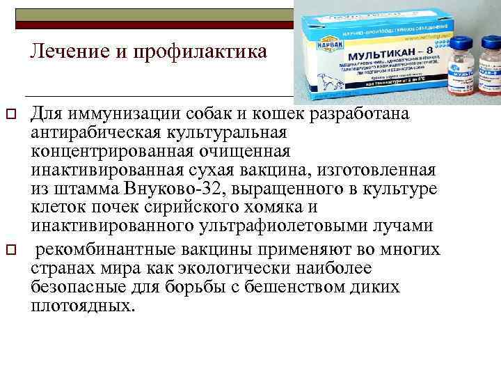   Лечение и профилактика o  Для иммунизации собак и кошек разработана антирабическая