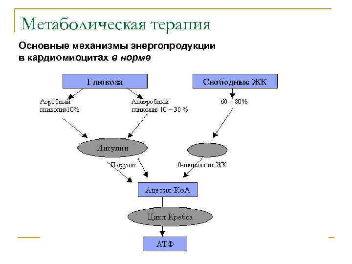 Метаболическая терапия Основные механизмы энергопродукции в кардиомиоцитах в норме 