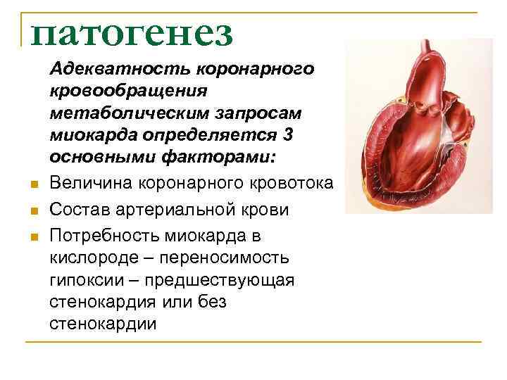 патогенез Адекватность коронарного кровообращения метаболическим запросам миокарда определяется 3 основными факторами: n  Величина