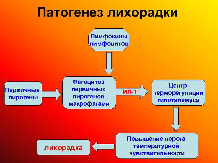   Патогенез лихорадки     Лимфокины     лимфоцитов