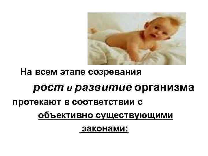  На всем этапе созревания  рост и развитие организма протекают в соответствии с
