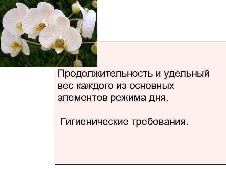 Продолжительность и удельный вес каждого из основных элементов режима дня.  Гигиенические требования. 