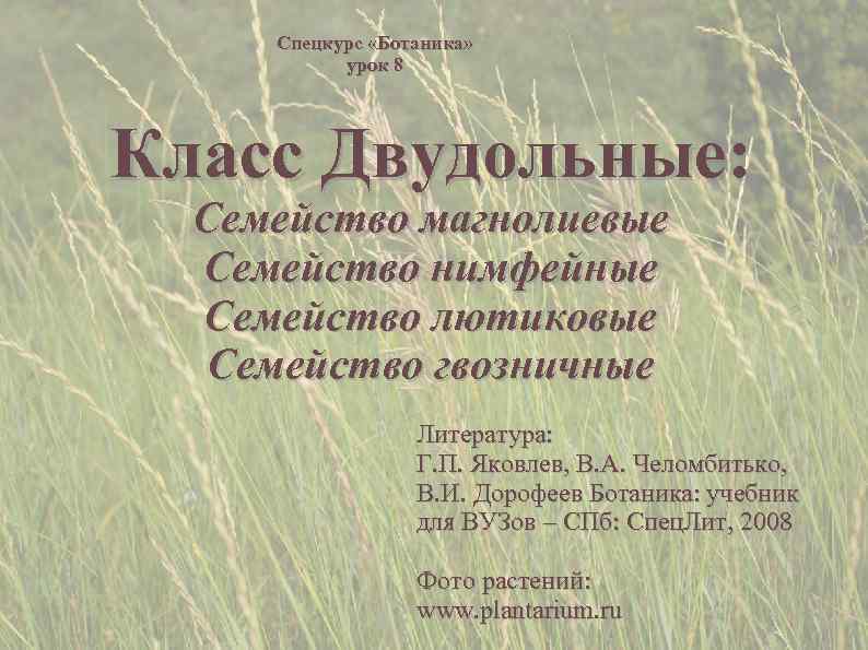  Спецкурс «Ботаника»   урок 8 Класс Двудольные:  Семейство магнолиевые  Семейство