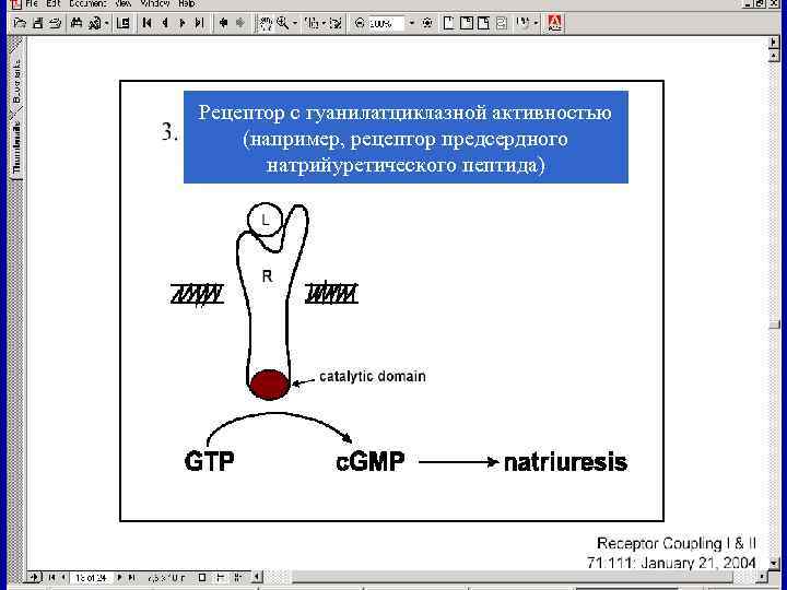 Рецептор с гуанилатциклазной активностью (например, рецептор предсердного  натрийуретического пептида) 