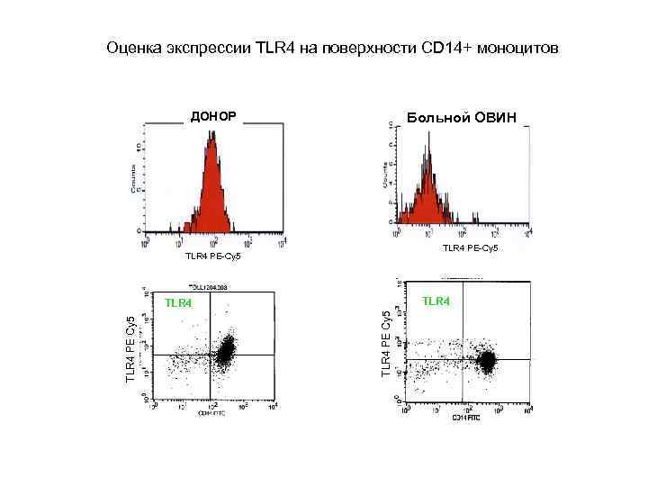 Оценка экспрессии TLR 4 на поверхности CD 14+ моноцитов    ДОНОР 