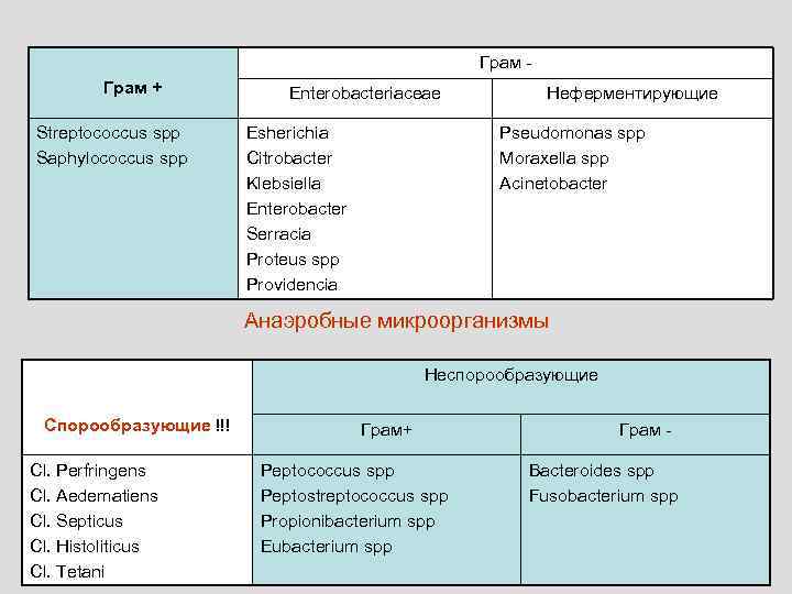      Грам -     Аэробные микроорганизмы 