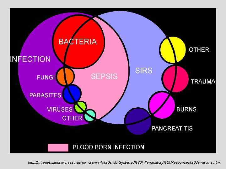 http: //intranet. santa. lt/thesaurus/no_crawl/inf%20 endo/Systemic%20 Inflammatory%20 Response%20 Syndrome. htm 