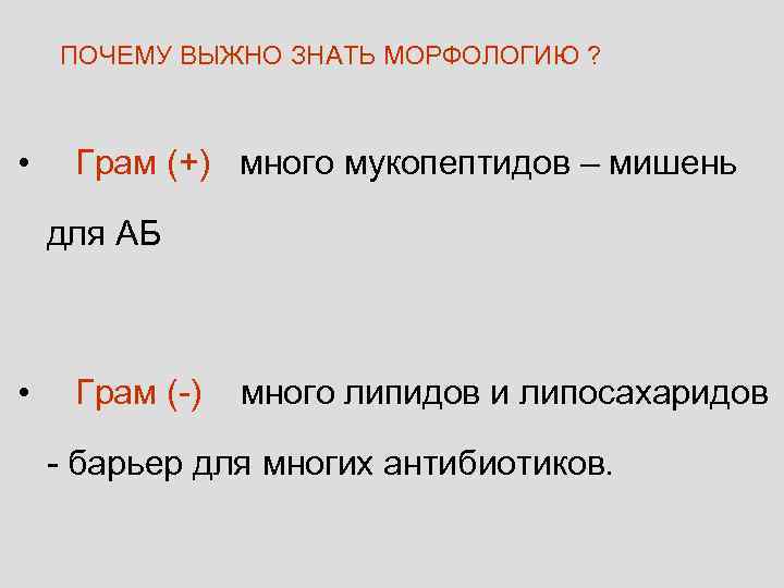   ПОЧЕМУ ВЫЖНО ЗНАТЬ МОРФОЛОГИЮ ? • Грам (+) много мукопептидов – мишень