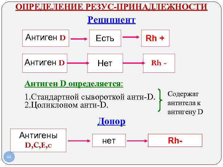 ОПРЕДЕЛЕНИЕ РЕЗУС-ПРИНАДЛЕЖНОСТИ Реципиент Антиген D Есть ОПРЕДЕЛЕНИЕ РЕЗУС-ПРИНАДЛЕЖНОСТИ Реципиент Антиген D Есть