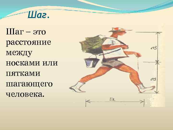   Шаг – это расстояние между носками или пятками шагающего человека. 