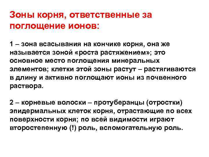 Зоны корня, ответственные за поглощение ионов: 1 – зона всасывания на кончике корня, она