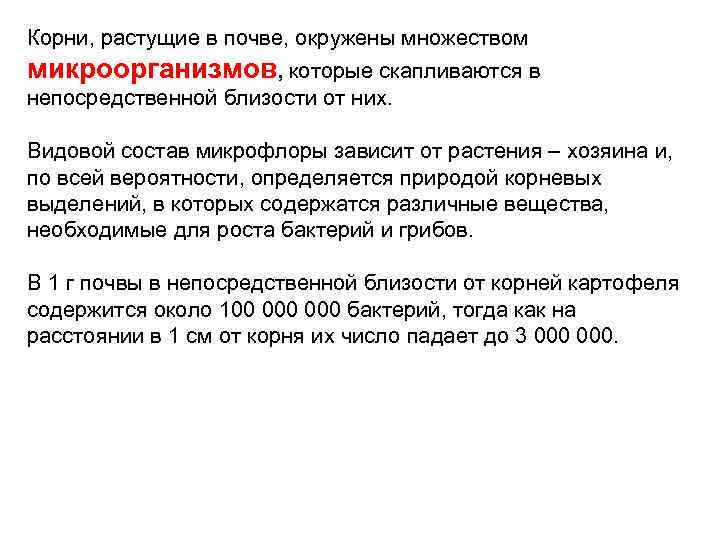 Корни, растущие в почве, окружены множеством микроорганизмов, которые скапливаются в непосредственной близости от них.