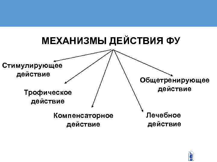    МЕХАНИЗМЫ ДЕЙСТВИЯ ФУ Стимулирующее  действие     Общетренирующее