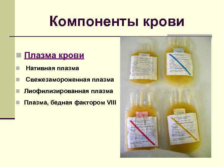    Компоненты крови n Плазма крови n  Нативная плазма n 