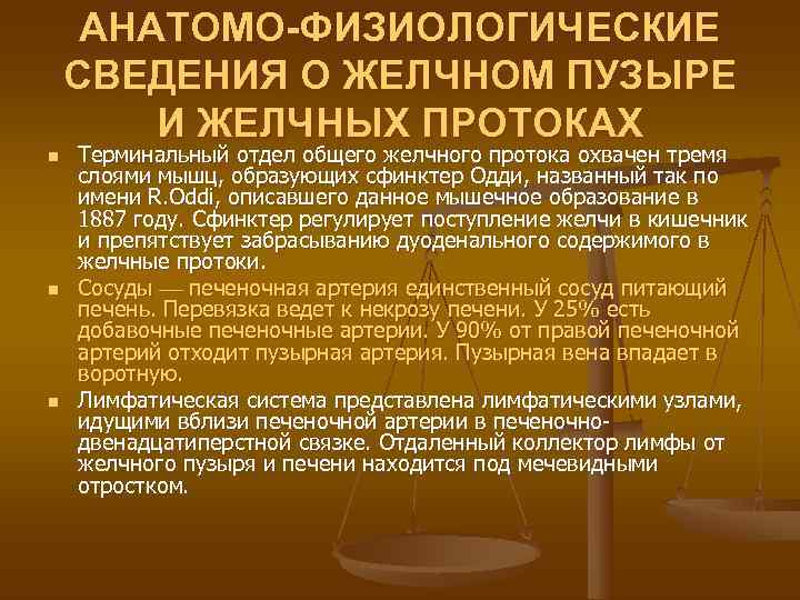  АНАТОМО-ФИЗИОЛОГИЧЕСКИЕ СВЕДЕНИЯ О ЖЕЛЧНОМ ПУЗЫРЕ   И ЖЕЛЧНЫХ ПРОТОКАХ n  Терминальный