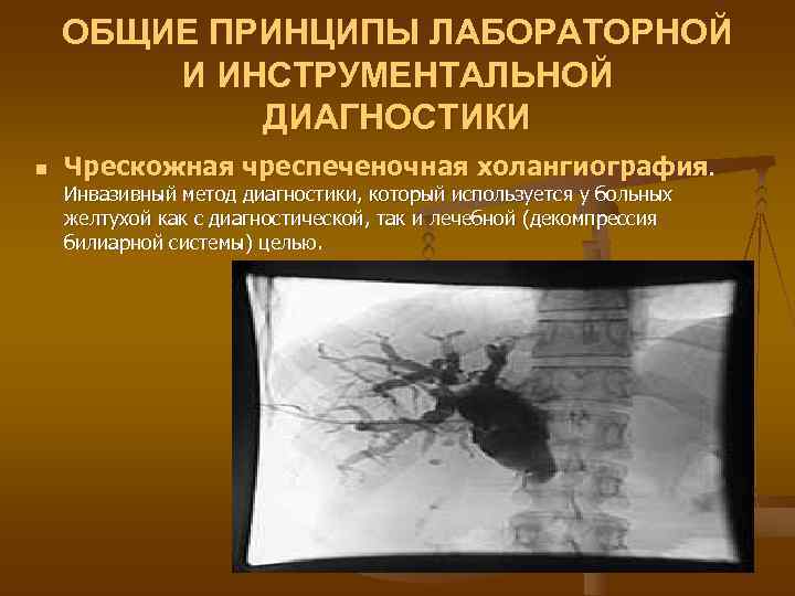   ОБЩИЕ ПРИНЦИПЫ ЛАБОРАТОРНОЙ   И ИНСТРУМЕНТАЛЬНОЙ   ДИАГНОСТИКИ n 