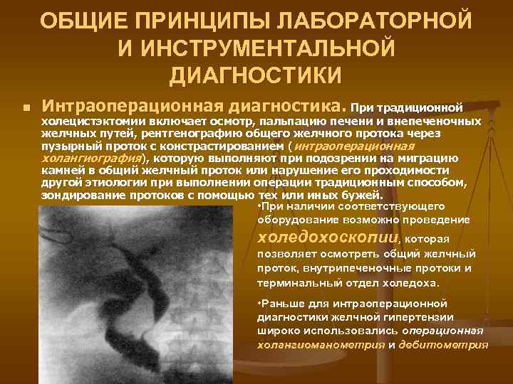   ОБЩИЕ ПРИНЦИПЫ ЛАБОРАТОРНОЙ   И ИНСТРУМЕНТАЛЬНОЙ   ДИАГНОСТИКИ n 