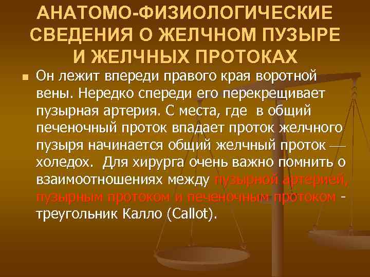  АНАТОМО-ФИЗИОЛОГИЧЕСКИЕ СВЕДЕНИЯ О ЖЕЛЧНОМ ПУЗЫРЕ И ЖЕЛЧНЫХ ПРОТОКАХ n  Он лежит впереди