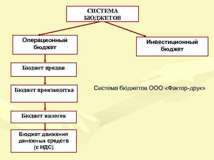     СИСТЕМА    БЮДЖЕТОВ Операционный    