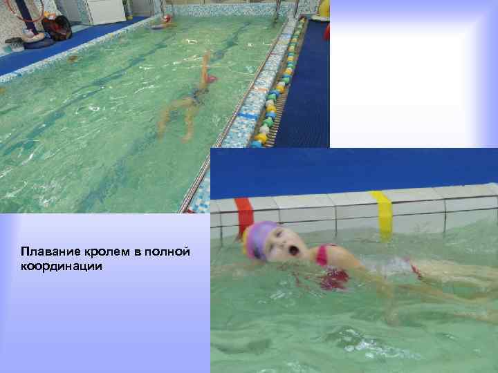 Плавание кролем в полной координации 