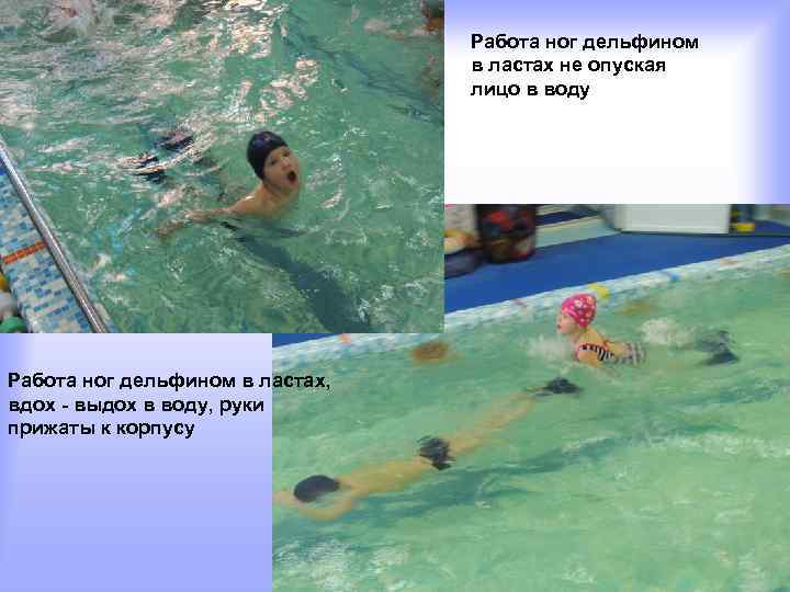        Работа ног дельфином    