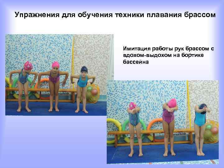 Упражнения для обучения техники плавания брассом     Имитация работы рук брассом
