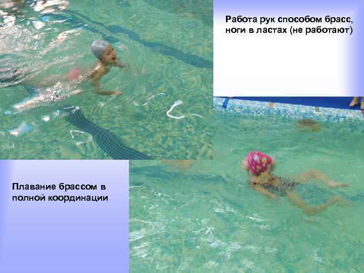      Работа рук способом брасс,    ноги в