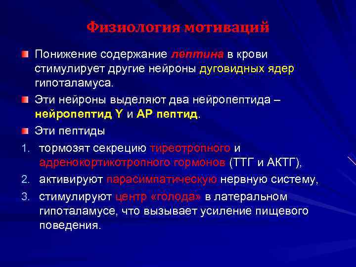    Физиология мотиваций  Понижение содержание лептина в крови  стимулирует другие
