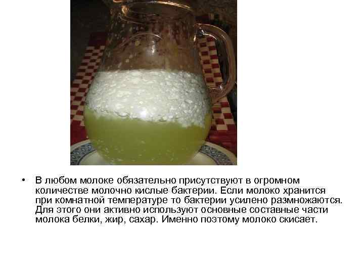  • В любом молоке обязательно присутствуют в огромном  количестве молочно кислые бактерии.