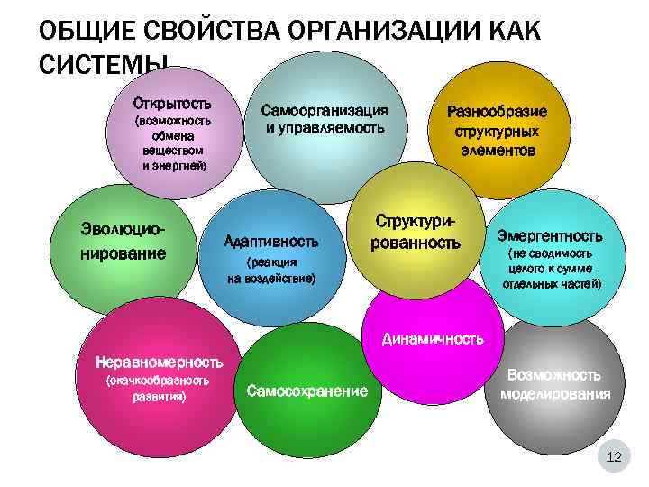 ОБЩИЕ СВОЙСТВА ОРГАНИЗАЦИИ КАК СИСТЕМЫ   Открытость  Самоорганизация   (возможность 