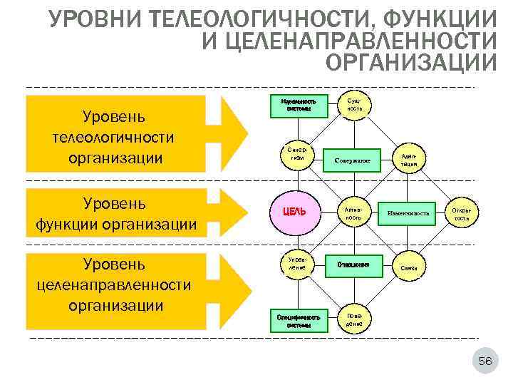  УРОВНИ ТЕЛЕОЛОГИЧНОСТИ, ФУНКЦИИ   И ЦЕЛЕНАПРАВЛЕННОСТИ     ОРГАНИЗАЦИИ 