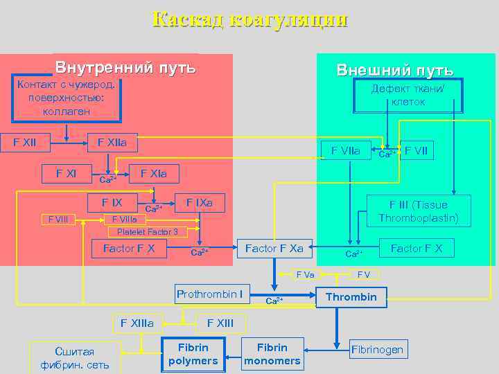        Каскад коагуляции     