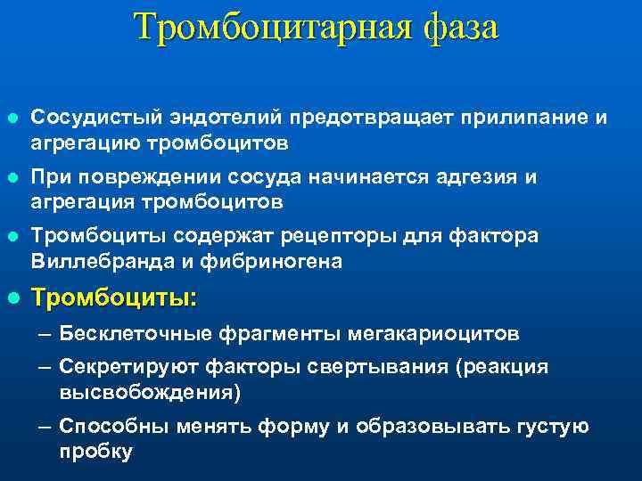  Тромбоцитарная фаза l  Сосудистый эндотелий предотвращает прилипание и агрегацию тромбоцитов l