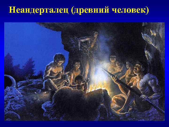 Неандерталец (древний человек) 