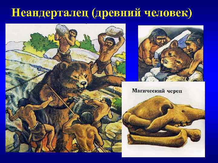 Неандерталец (древний человек) 