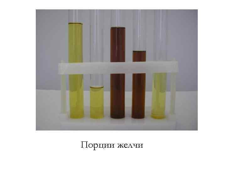 Порции желчи 