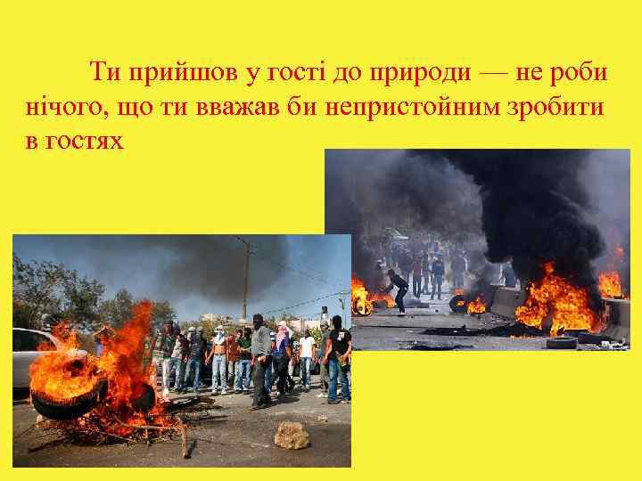  Ти прийшов у гості до природи — не роби нічого, що ти вважав