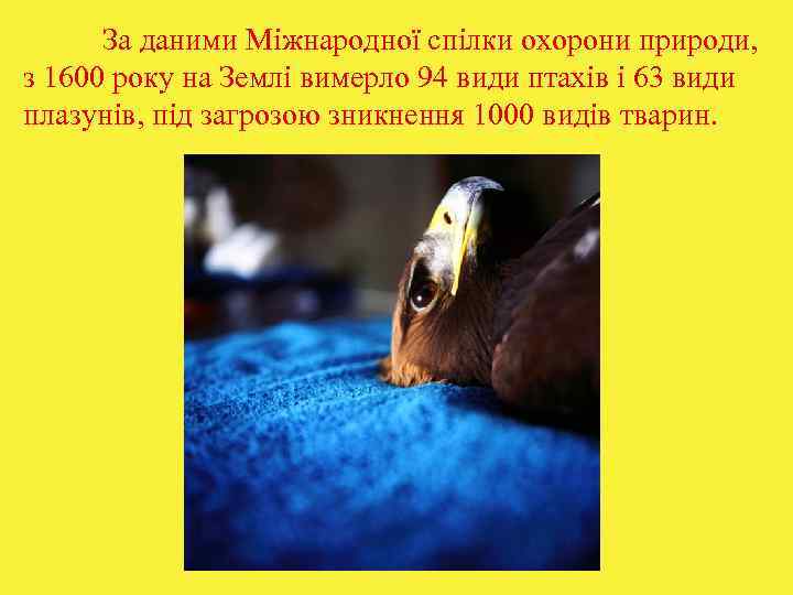  За даними Міжнародної спілки охорони природи,  з 1600 року на Землі вимерло