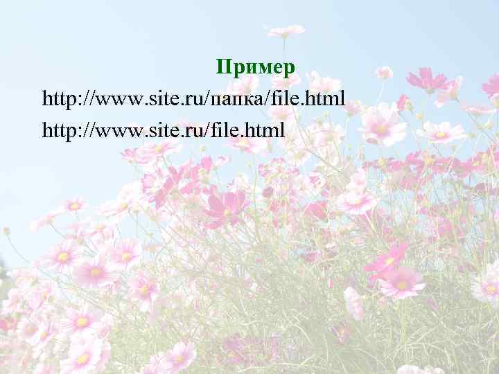     Пример http: //www. site. ru/папка/file. html http: //www. site. ru/file.