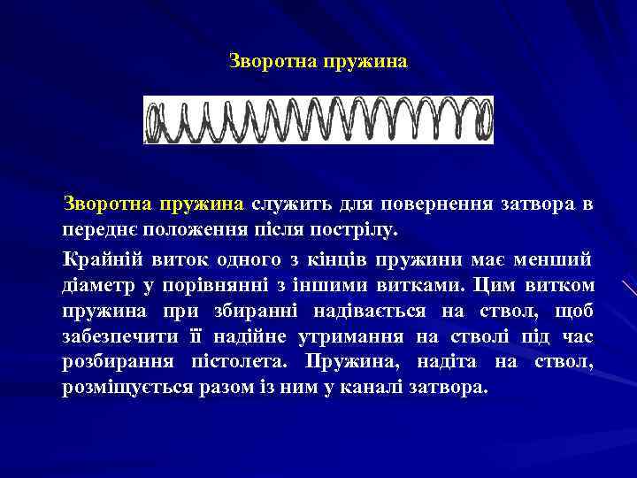      Зворотна пружина служить для повернення затвора в  переднє