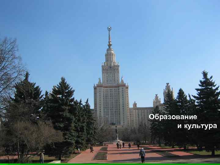 Образование  и культура 