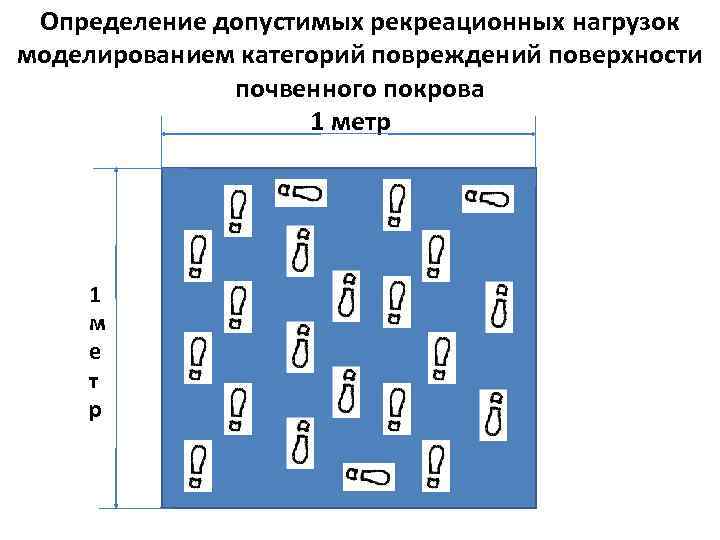  Определение допустимых рекреационных нагрузок моделированием категорий повреждений поверхности    почвенного покрова