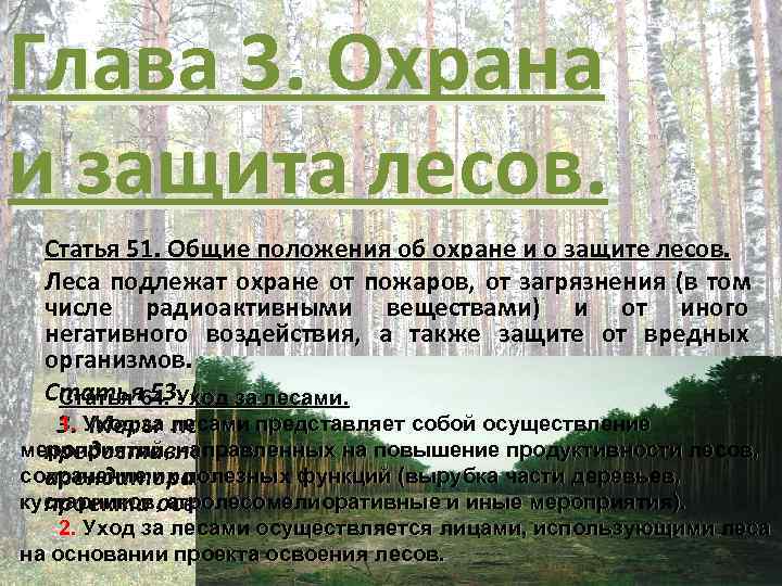 Охрана лесов в россии. Защита лесов. Охрана и защита леса. Охрана лесов. Меры по охране и защите лесов.
