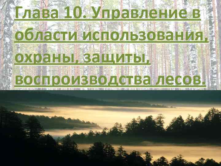 Глава 10. Управление в области использования, охраны, защиты, воспроизводства лесов. Глава 10. Управление в области использования, охраны, защиты, воспроизводства лесов.