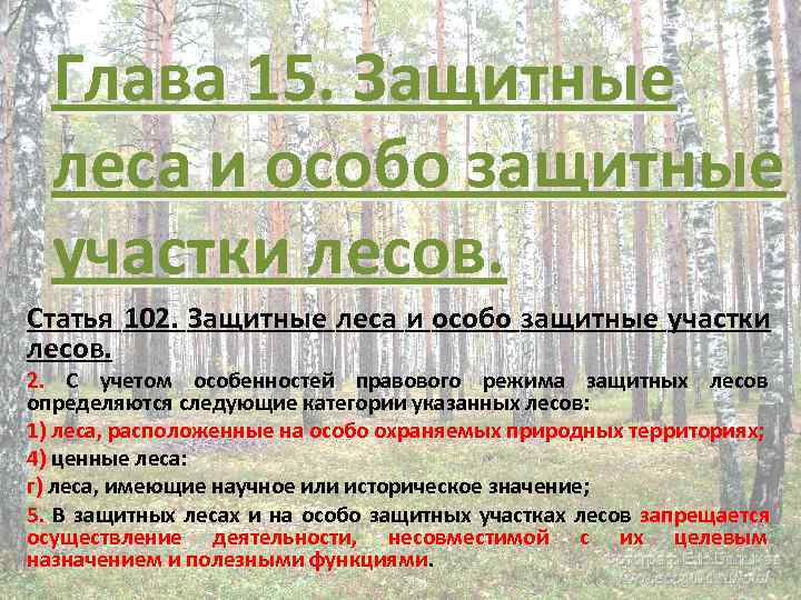 Лесные статьи. Защитные леса и особо защитные участки лесов. Виды защитных лесов. Особо защитные Лесные участки. Категории защитных лесов.